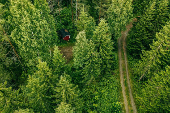 L'essentiel à savoir sur le groupement foncier forestier (GFF).